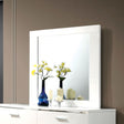 Carlie White Mirror by Furniture of America at Eve Furniture