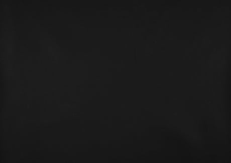 Carlton Black Elegant Lounger by Homelegance at Eve Furniture