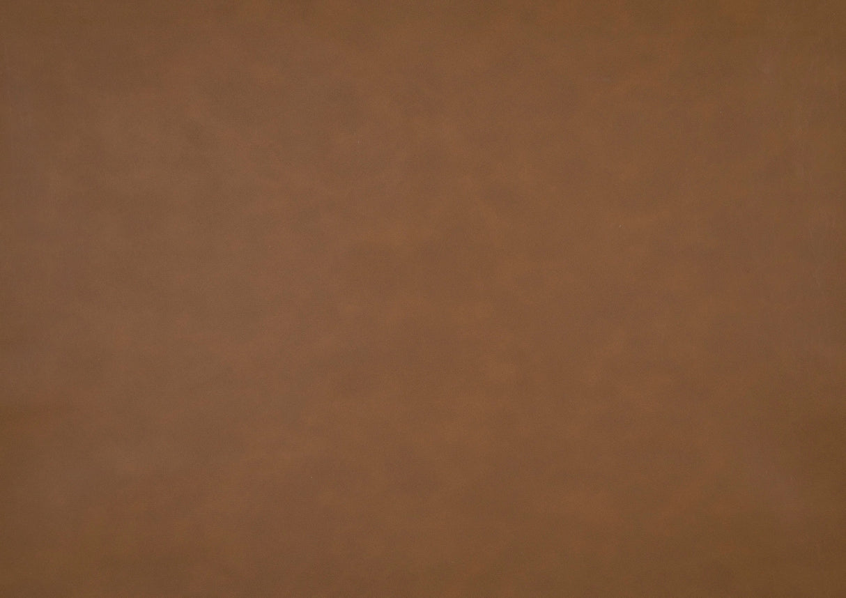 Carlton Camel Elegant Lounger by Homelegance at Eve Furniture