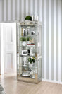 Carrollton Chrome Curio Cabinet by Furniture of America at Eve Furniture