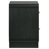 Cavelle Black 2-Drawer Nightstand by Coaster at Eve Furniture