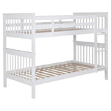 Chapman White Wood Twin over Twin Bunk Bed by Coaster at Eve Furniture