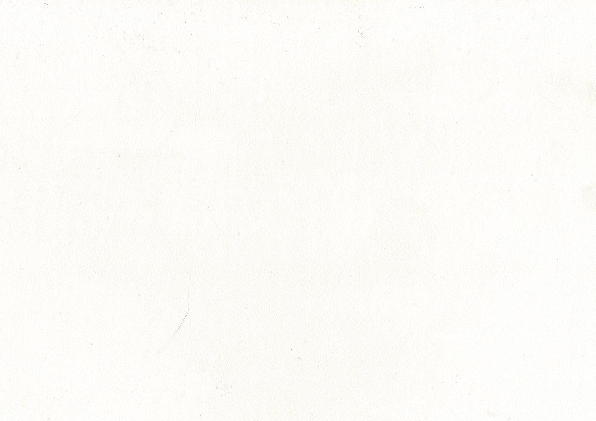 Crowley White Swivel Counter Height Chair, Set of 2 by Homelegance at Eve Furniture