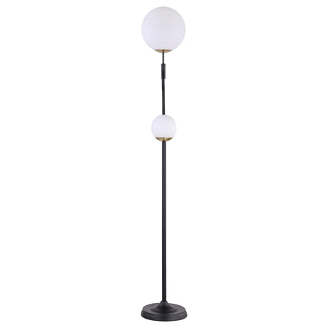 Dacki Black 69-inch Dual Spherical Bulb Metal Floor Lamp by Coaster at Eve Furniture