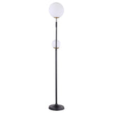 Dacki Black 69-inch Dual Spherical Bulb Metal Floor Lamp by Coaster at Eve Furniture