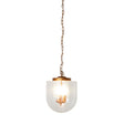 Delphi Pendant Lamp - Coarse Gold and Clear Glass by Ashcroft Imports at Eve Furniture