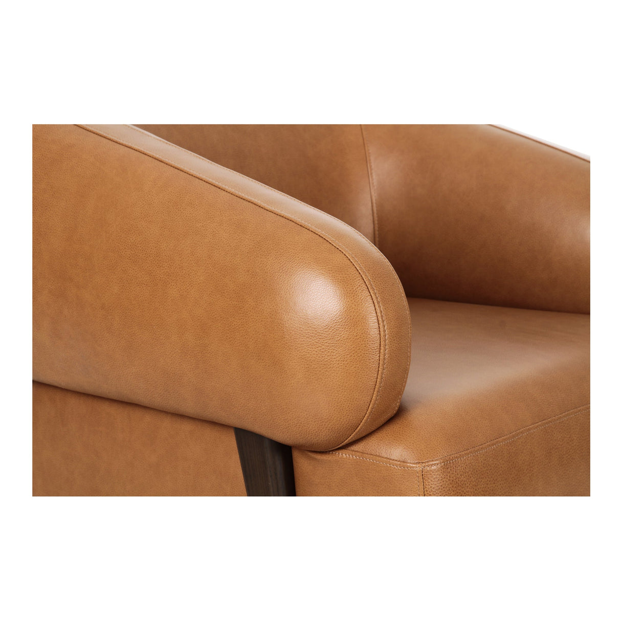 Devlin Tan Leather Lounge Chair by Moe's Home at Eve Furniture