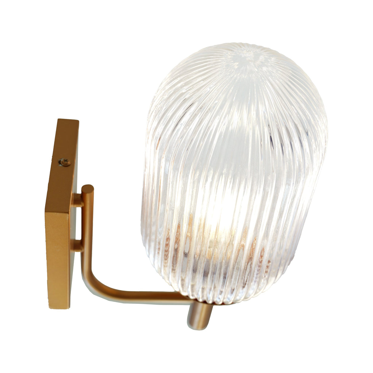 Dewdrop Wall Lamp - Bronze and Clear by Ashcroft Imports at Eve Furniture