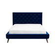Dillon Blue Velvet Platform Bed (Queen Size) by Ashcroft Imports at Eve Furniture