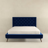 Dillon Blue Velvet Platform Bed (Queen Size) by Ashcroft Imports at Eve Furniture