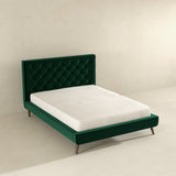 Dillon Dark Green Velvet Platform Bed (Queen Size) by Ashcroft Imports at Eve Furniture