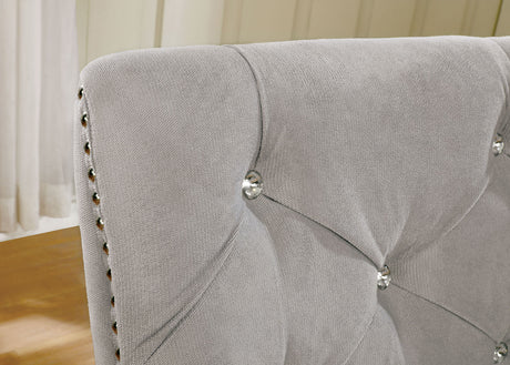 Diocles Silver/Gray Side Chair by Furniture of America at Eve Furniture