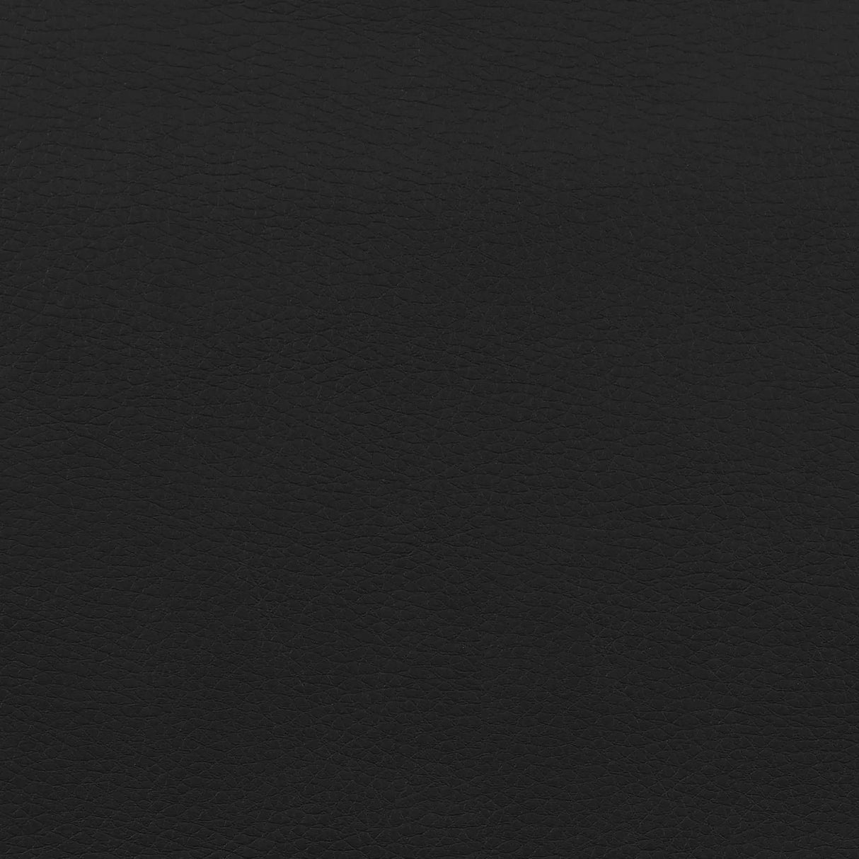 Dione Black Adjustable Height Office Chair by Coaster at Eve Furniture