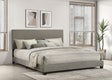 Dorian Taupe Upholstered Eastern King Panel Bed by Coaster at Eve Furniture