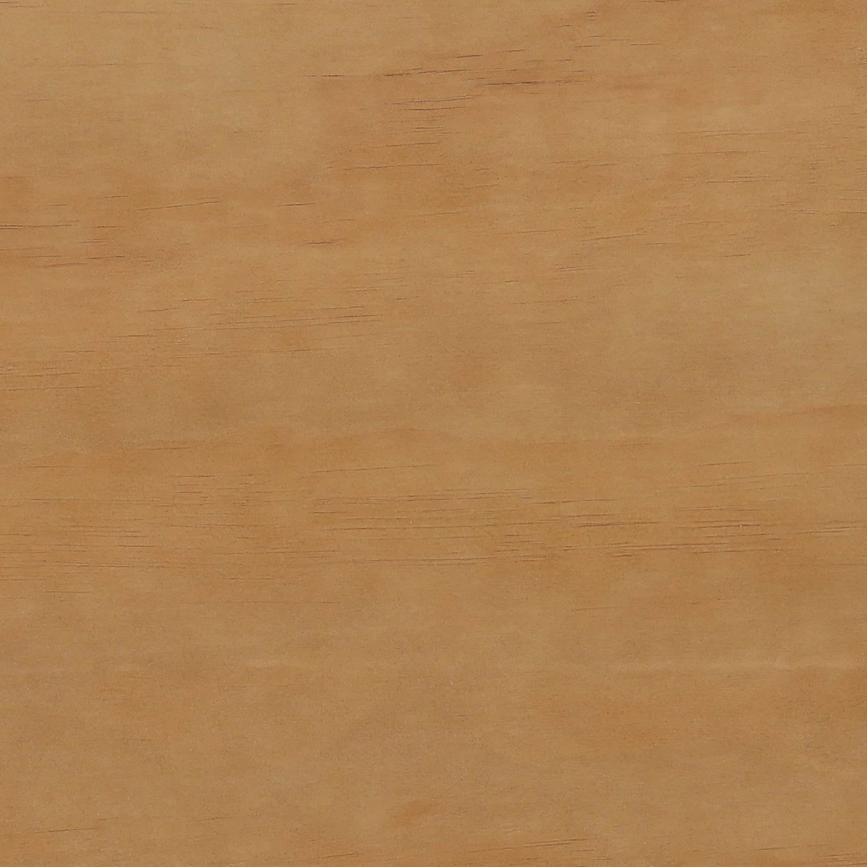 Elara Sideboard, Natural by Dovetail at Eve Furniture