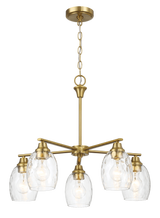 Elegance Five Lights Linear Arms with Golden Brass Finish Chain Chandelier 24"W × 8.5"H with Clear Water Glass by Ashcroft Imports at Eve Furniture
