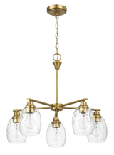 Elegance Five Lights Linear Arms with Golden Brass Finish Chain Chandelier 24"W × 8.5"H with Clear Water Glass by Ashcroft Imports at Eve Furniture
