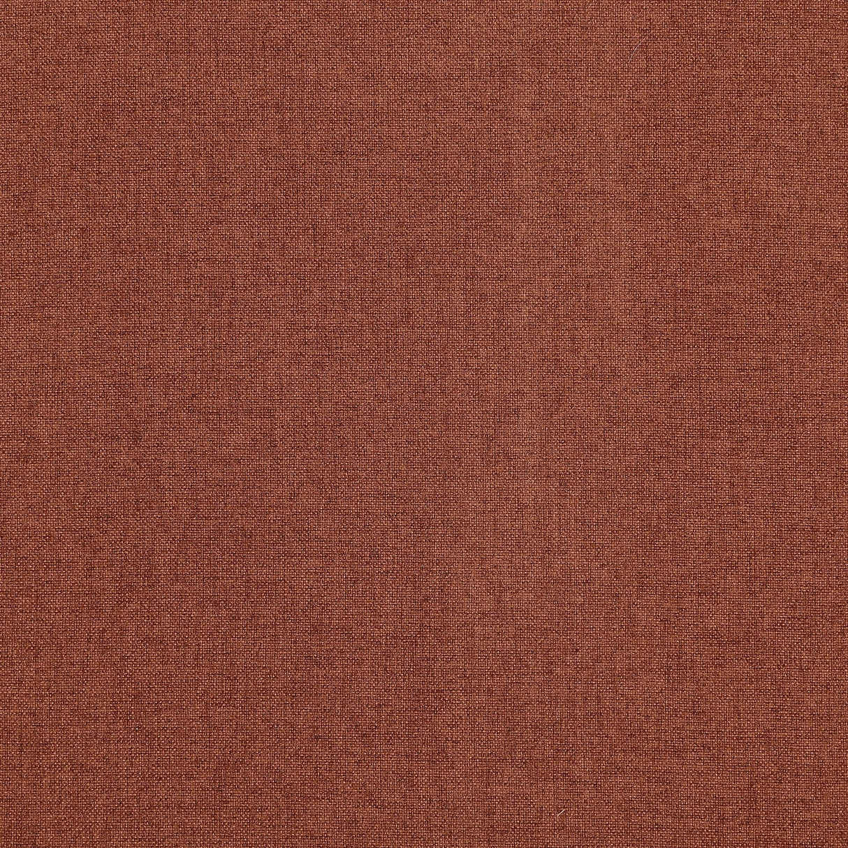 Ella Rust Upholstered Tufted Bench Stainless Steel Legs by Coaster at Eve Furniture