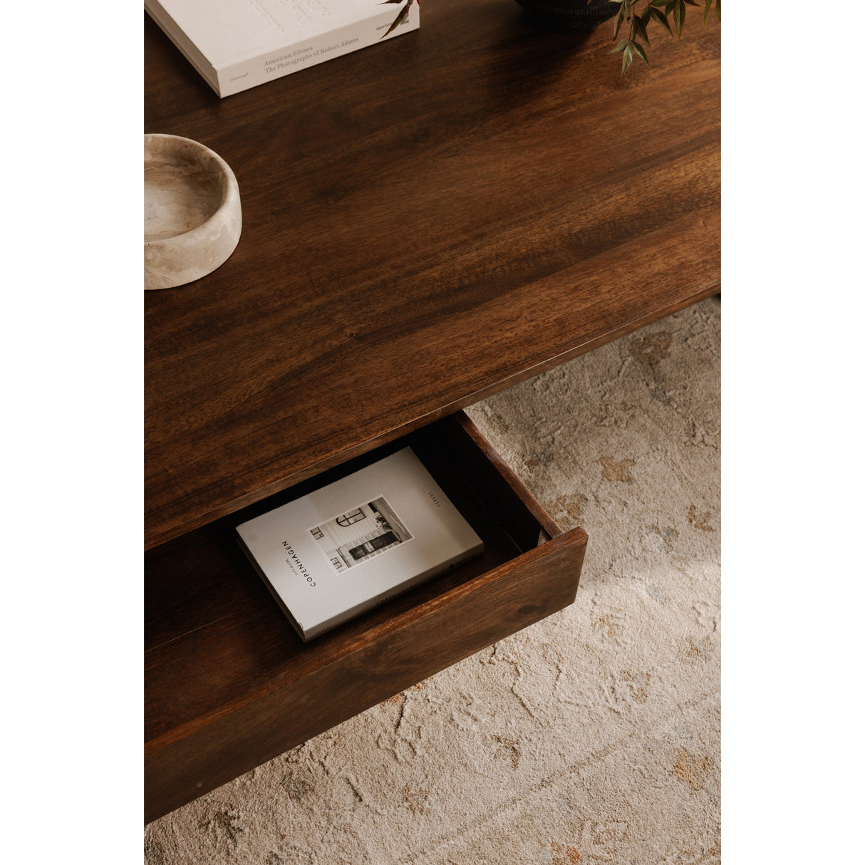 Everett Dark Brown Coffee Table by Moe's Home at Eve Furniture