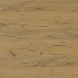 Fanning Golden Oak/Black Lift Top Storage Coffee Table by Coaster at Eve Furniture