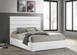 Felicity White Upholstered Eastern King Platform Bed by Coaster at Eve Furniture