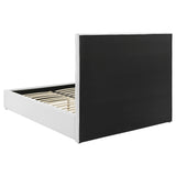 Felicity White Upholstered Queen Platform Bed by Coaster at Eve Furniture