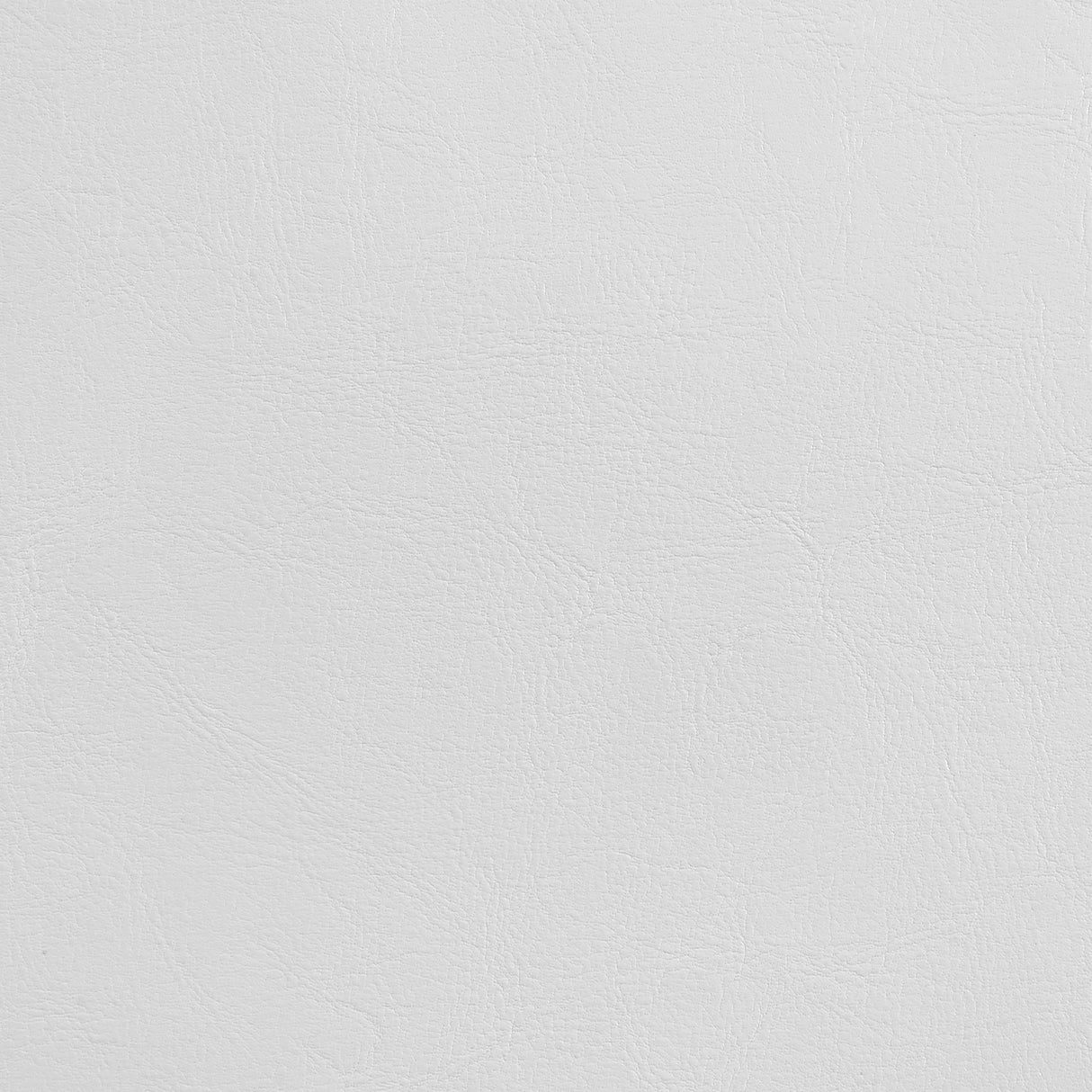 Felicity White Upholstered Queen Platform Bed by Coaster at Eve Furniture