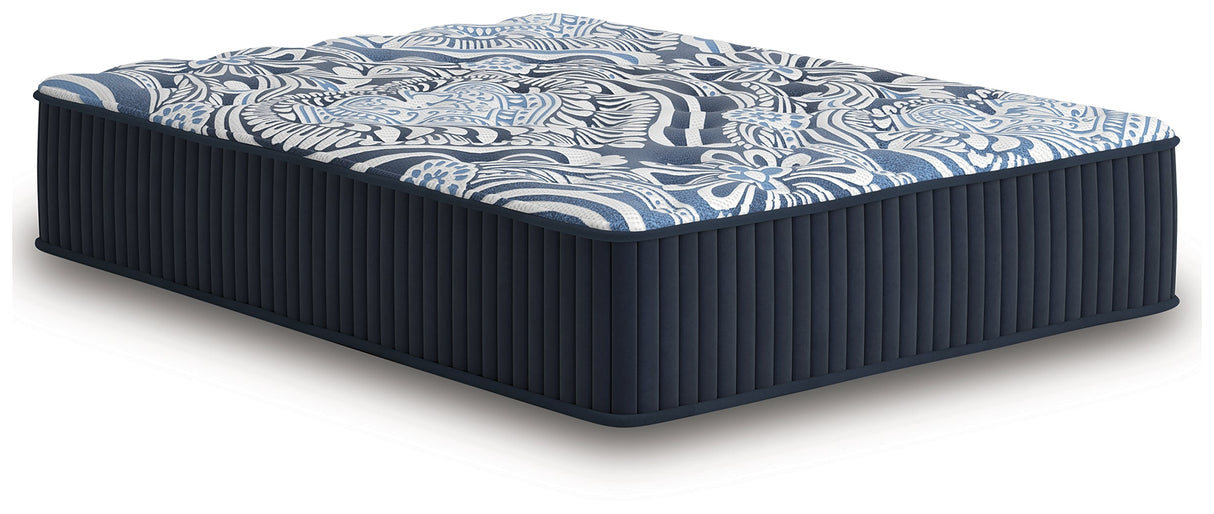 Firm Luxe 2.0 Blue Queen Mattress by Ashley at Eve Furniture