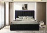 Florence Black Boucle LED Queen Platform Bed by Happy Homes at Eve Furniture