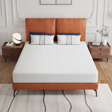 Forsythia White Mattress E.King by Furniture of America at Eve Furniture