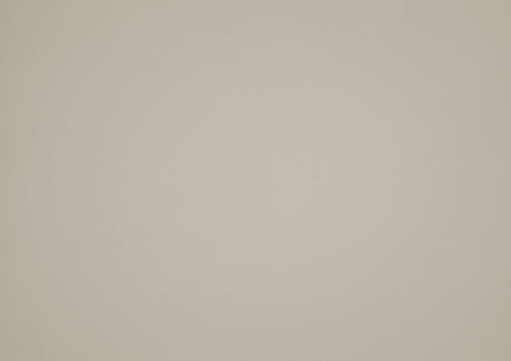 Giselle Beige Leather 2-Piece Sectional with Right Chaise by Homelegance at Eve Furniture