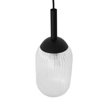 Giza Pendant Lamp - Black and Clear by Ashcroft Imports at Eve Furniture