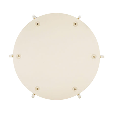 Gloria Cream Oak Coffee Table by TOV Furniture at Eve Furniture