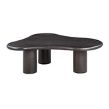 Gotham Acacia Coffee Table by TOV Furniture at Eve Furniture