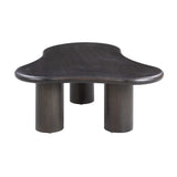 Gotham Acacia Coffee Table by TOV Furniture at Eve Furniture