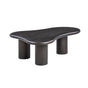Gotham Acacia Coffee Table by TOV Furniture at Eve Furniture