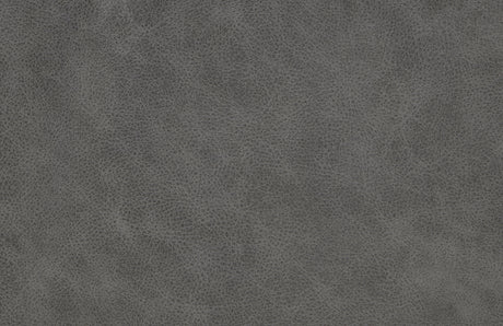 Harriette Gray Double Reclining Sofa by Homelegance at Eve Furniture