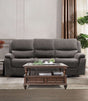 Henricus Dark Gray Sofa by Furniture of America at Eve Furniture