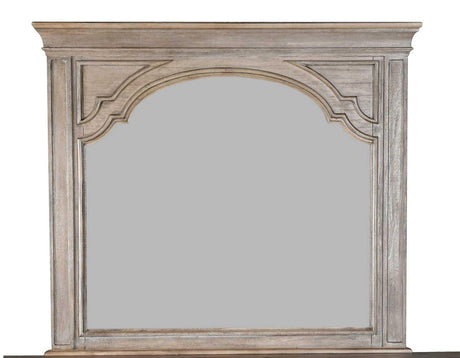Highland Park Waxed Driftwood Mirror by Steve Silver at Eve Furniture