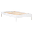 Hounslow White Platform Twin Bed by Coaster at Eve Furniture