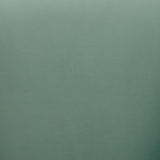 Jordan Velvet Swivel Chair by TOV Furniture at Eve Furniture