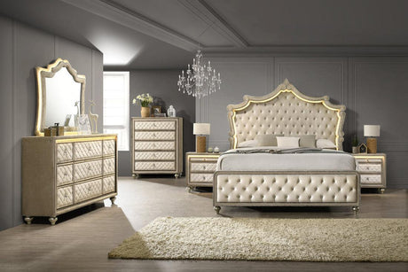 Kingdom Cream Velvet Panel Bedroom Set by Happy Homes at Eve Furniture