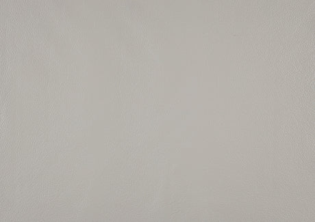 Laconia Silver Leather Reclining Chair by Homelegance at Eve Furniture