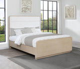 Ladera Light Elm Queen Panel Bed by Coaster at Eve Furniture