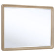 Ladera Dresser Mirror Light Elm by Coaster at Eve Furniture
