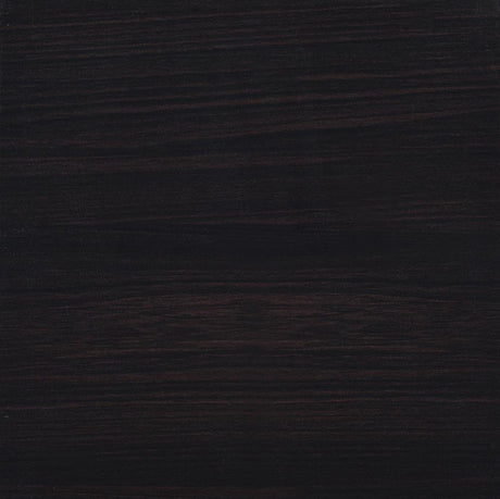 Lewes Cappuccino 2-Door TV Stand with Adjustable Shelves by Coaster at Eve Furniture