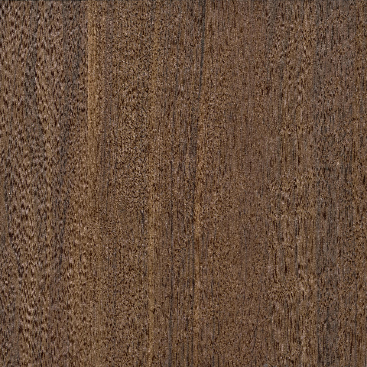 Maddox Walnut 71-inch 3-shelf Cabinet Bookcase by Coaster at Eve Furniture