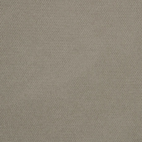 Maderia Walnut 57-inch Upholstered Eastern King Panel Bed by Coaster at Eve Furniture