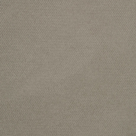 Maderia Walnut 57-inch Upholstered Queen Panel Bed by Coaster at Eve Furniture