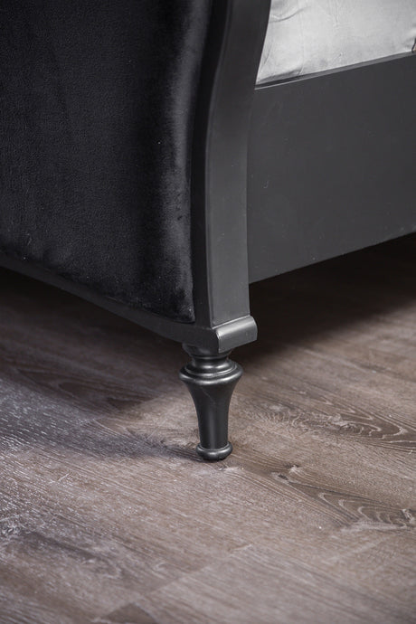 Melodi Parc Black Queen Bed by Furniture of America at Eve Furniture